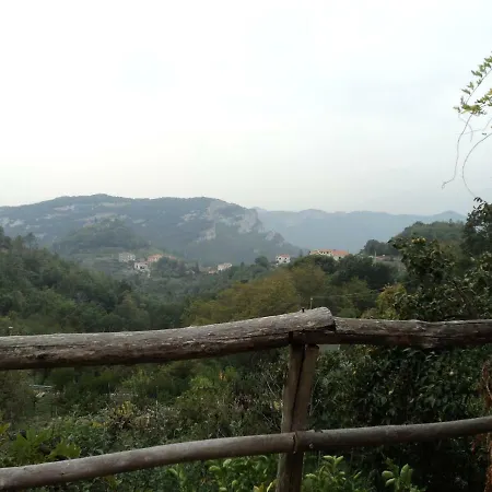 L'uliveto Di Kike *